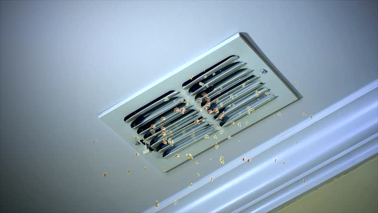 Best General Air Duct Cleaning  in Brownsville, TX