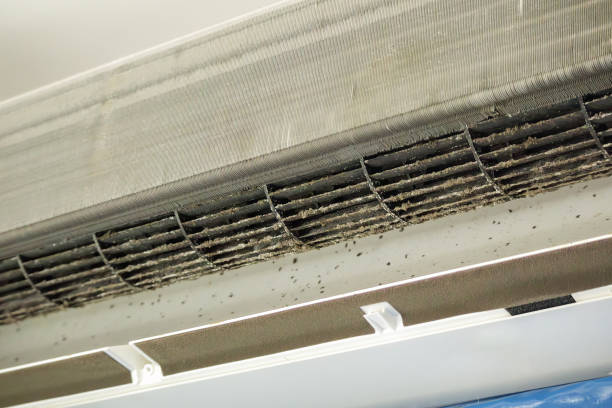 Best Affordable Air Duct Cleaning  in Brownsville, TX
